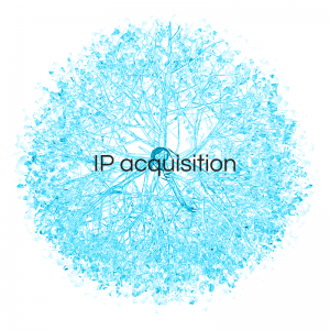 IP Acquisition