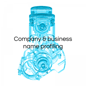 Company and business name profiling
