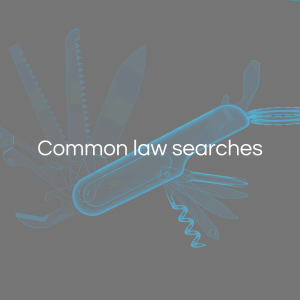 Common law searches