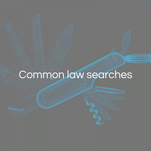 Common law searches