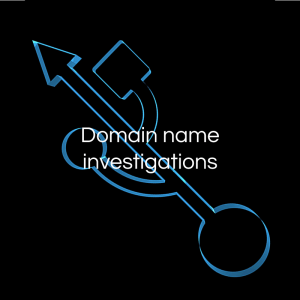 Domain name investigations