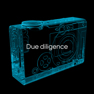 Due diligence